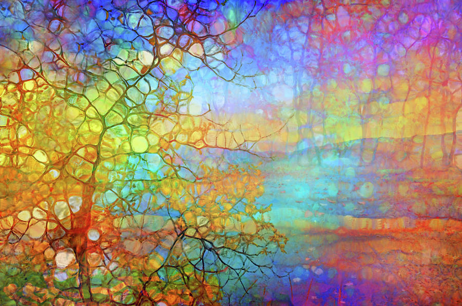 How the Tree Reimagines the Sunset Digital Art by Tara Turner - Fine ...