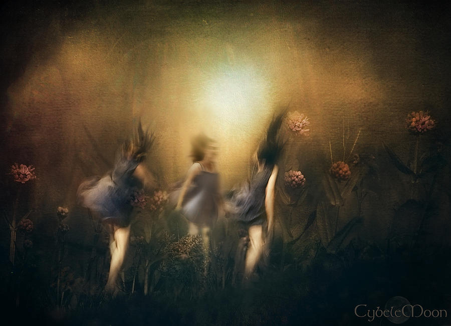 How They Danced Photograph by Cybele Moon