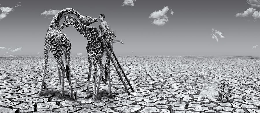 Giraffe Photograph - How To Kiss A Giraffe by Arun Mohanraj