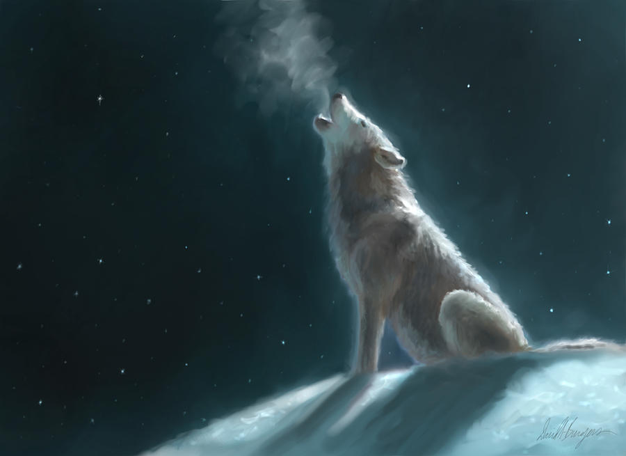 Winter Digital Art - Stars and Steam, Wolf by David Burgess