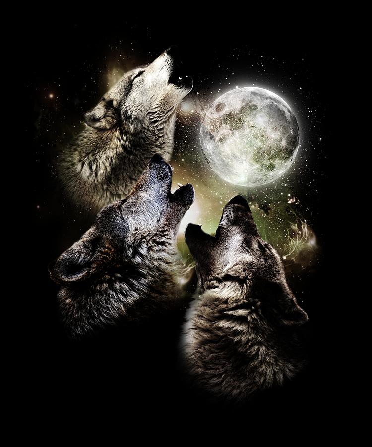 Howling Wolf Woods Night Sky Nature Forest Digital Art by Jonathan Golding
