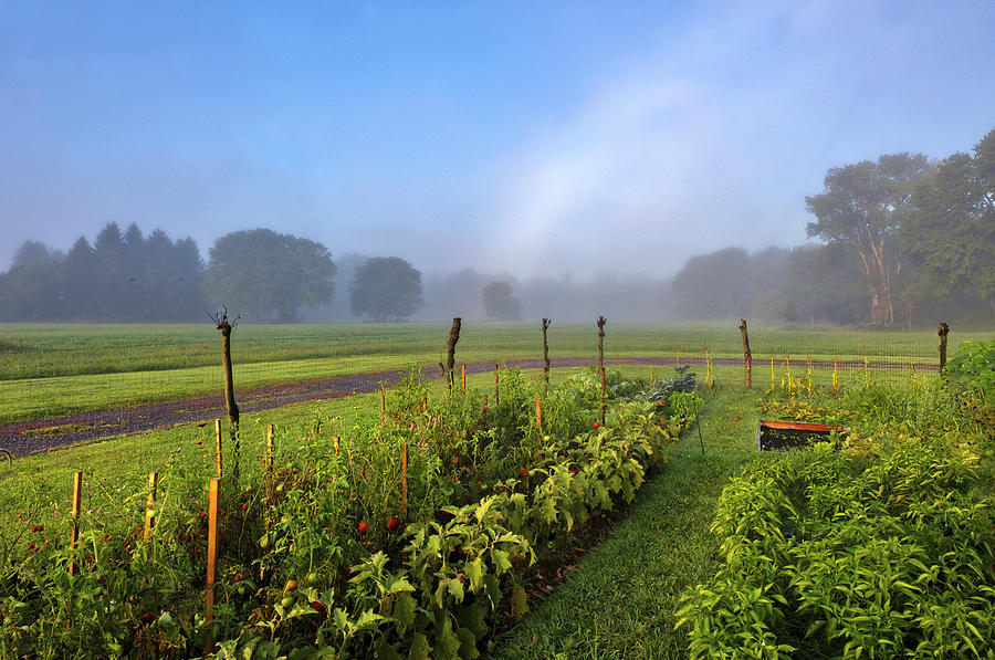 Hudson River Valley Farm and Vegetagle Garden by Juergen Roth Hudson River Valley Farm and Vegetagle Garden by Juergen Roth