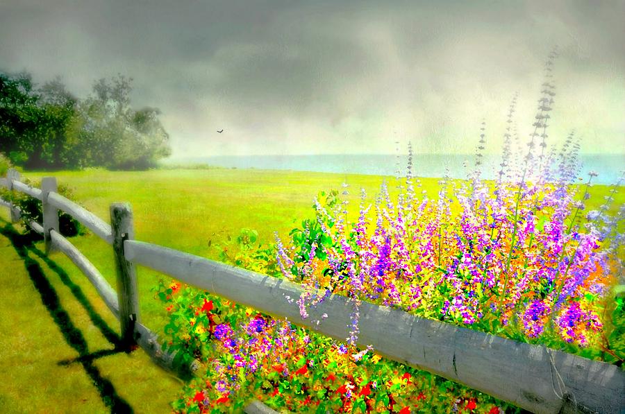 Flower Photograph - Hug a Fence by Diana Angstadt