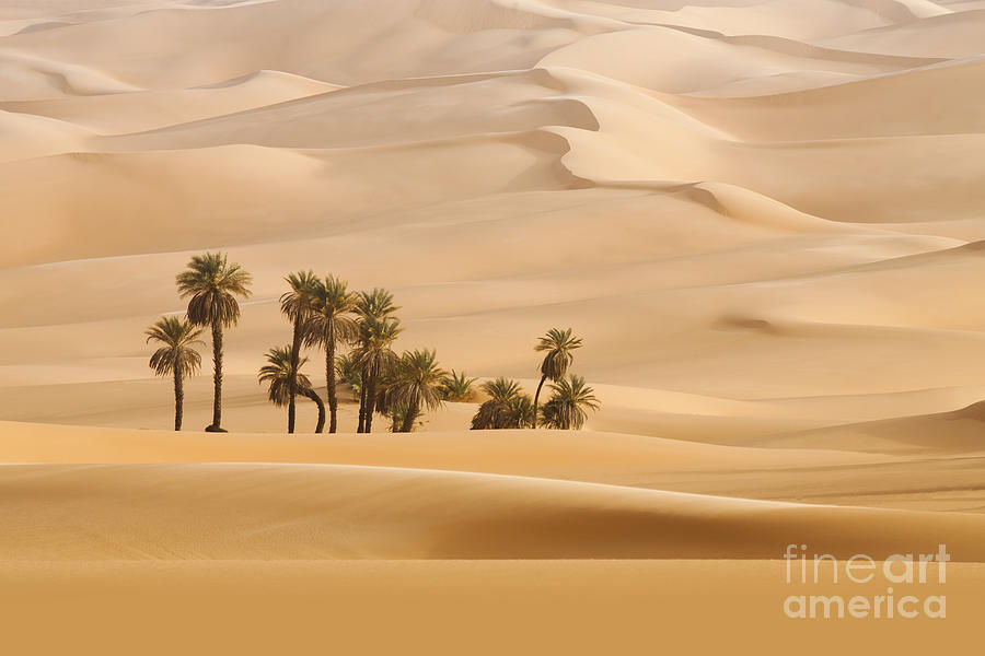 Shadow Photograph - Huge Dunes Of The Desert. Fine Place by Denis Burdin Shadow Photograph - Huge Dunes Of The Desert. Fine Place by Denis Burdin