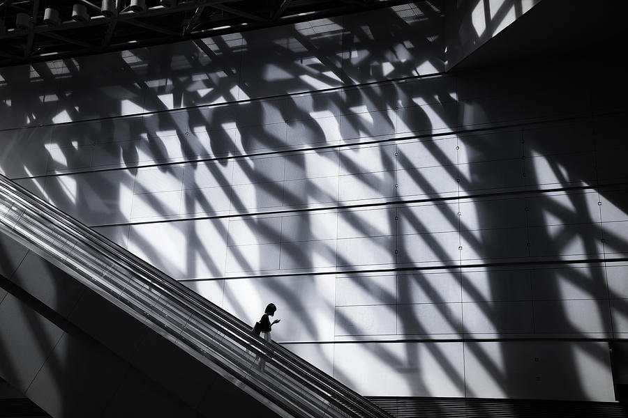 Huge Shadows Photograph by Reiko Kiri - Fine Art America