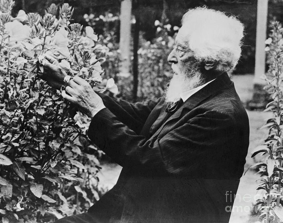 Hugo De Vries In His Garden Photograph by Bettmann