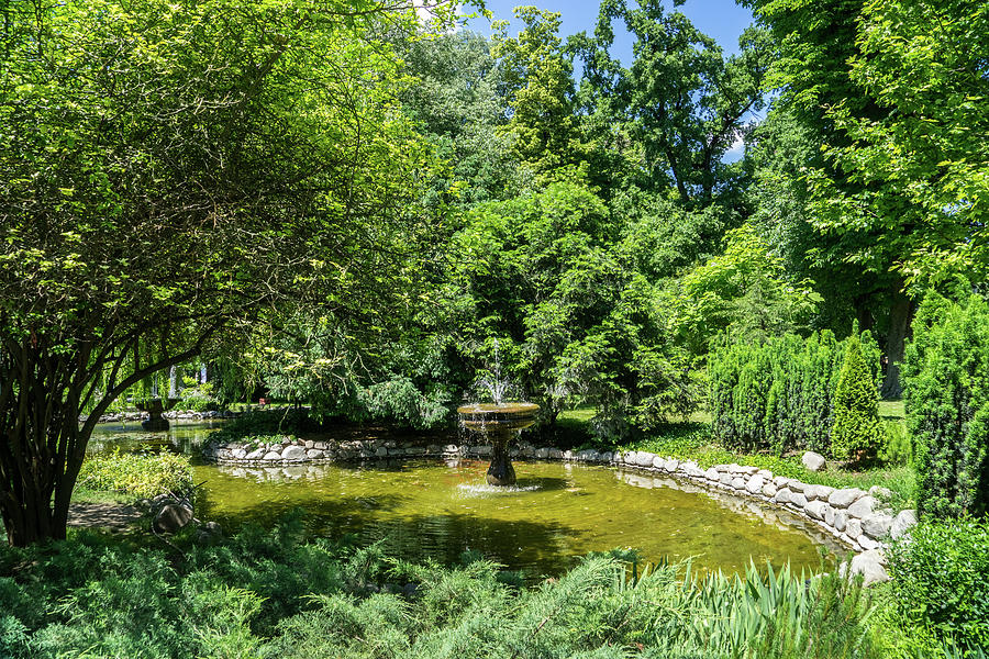 Hugs And Curves - Sunny Summertime Fountain Surrounded In Greenery Photograph
