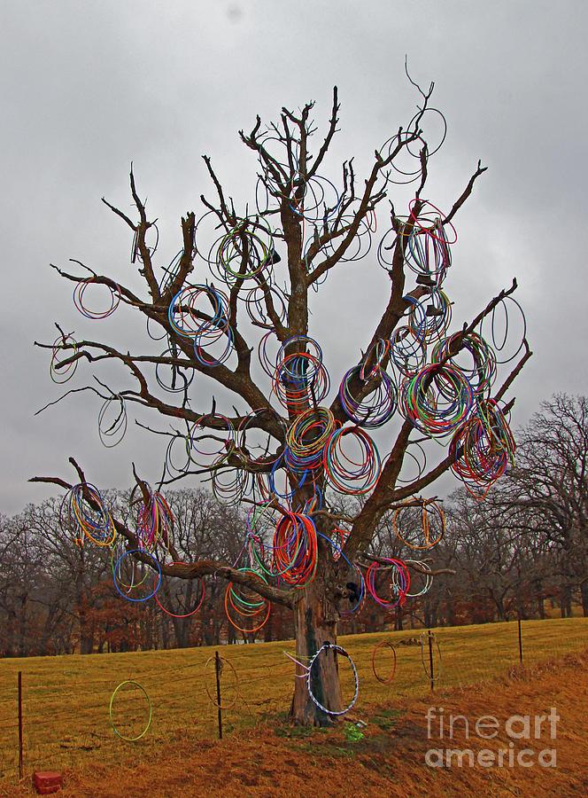 Tree Photograph - Hula Hoop Tree 1 by Nicole Engelhardt