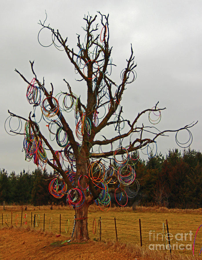 Toy Photograph - Hula Hoop Tree 2 by Nicole Engelhardt