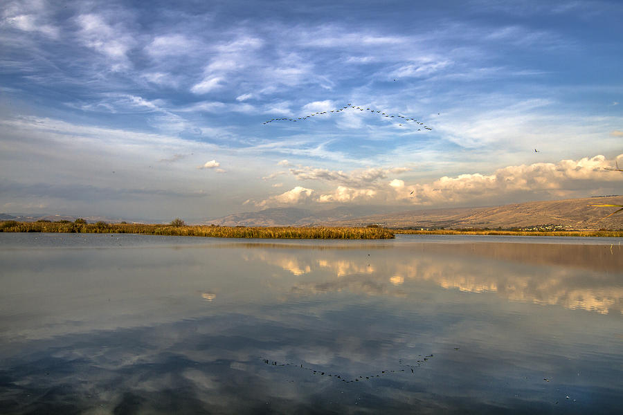 Hula Lake and the Golan Heights Photograph by Alon Mandel - Fine Art ...