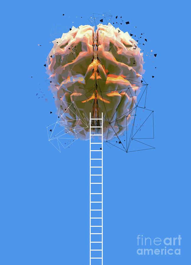 Human Brain And Ladders Photograph by Victor Habbick Visions/science Photo Library