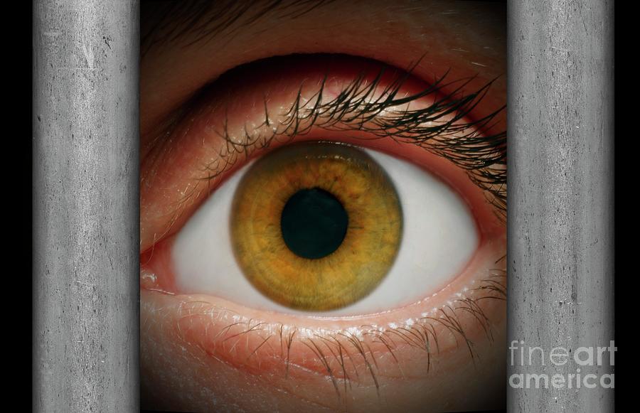 Human Eye Staring Through Bars Photograph by Victor De Schwanberg/science Photo Library