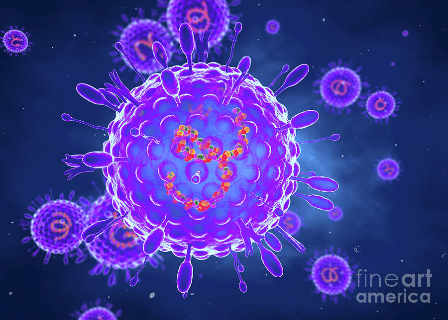 Human Parainfluenza Viruses Photograph by Roger Harris/science Photo ...