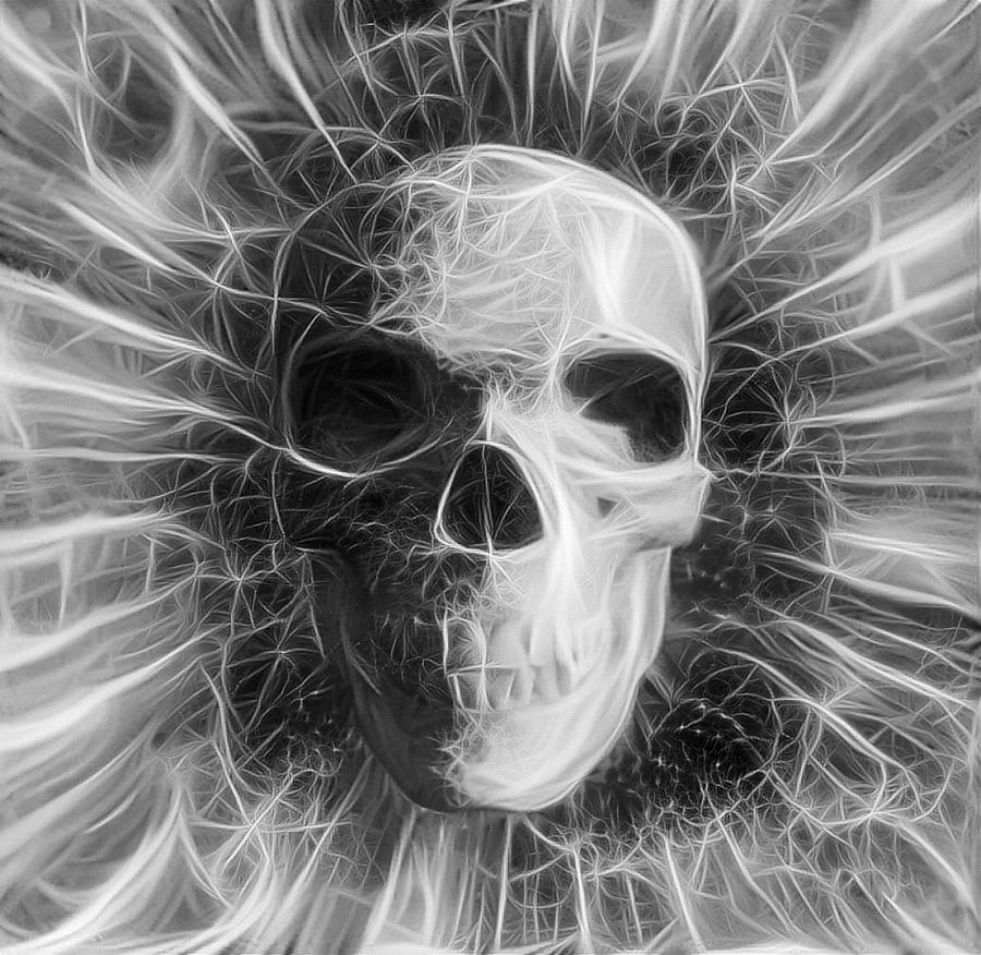 Abstract Digital Art - Human Skull by Bruce Rolff