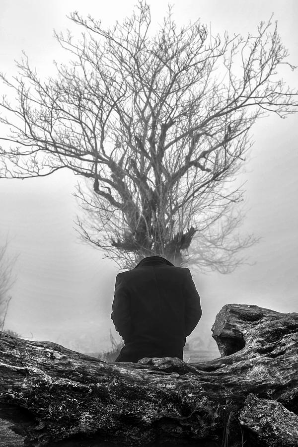Human Tree Photograph by Amin Mahdavi