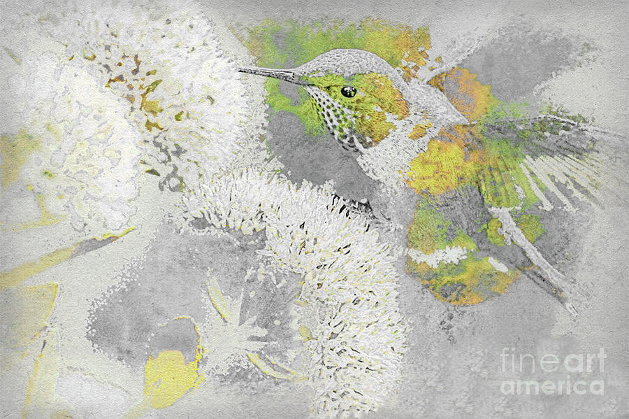 Bird Mixed Media - Hummer Delight, Subdued Tones by Banyan Ranch Studios Bird Mixed Media - Hummer Delight, Subdued Tones by Banyan Ranch Studios