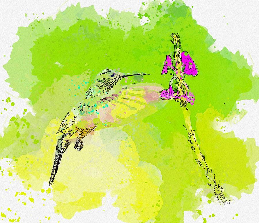 Hummingbird, Costa Rica 2   Watercolor By Ahmet Asar Painting
