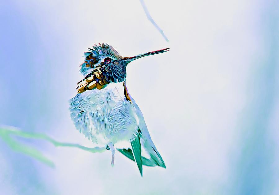 Hummingbird Dream 2 Photograph by Fraida Gutovich