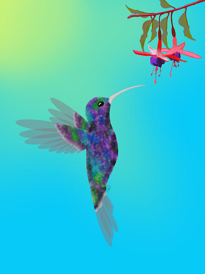 Hummingbird Fuchsias Digital Art by Penny FireHorse