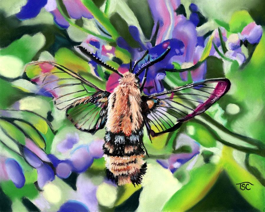 Hummingbird Moth Painting by Tammy Crawford
