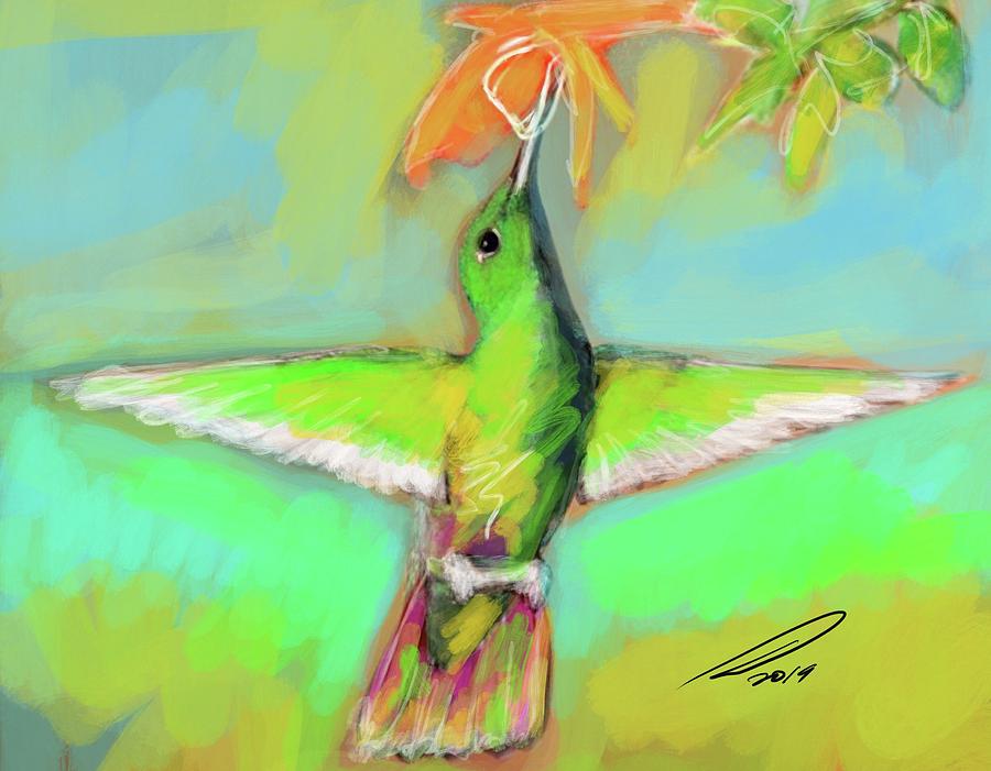 Hummingbird Part1 Digital Art by Elliott Aaron From - Fine Art America