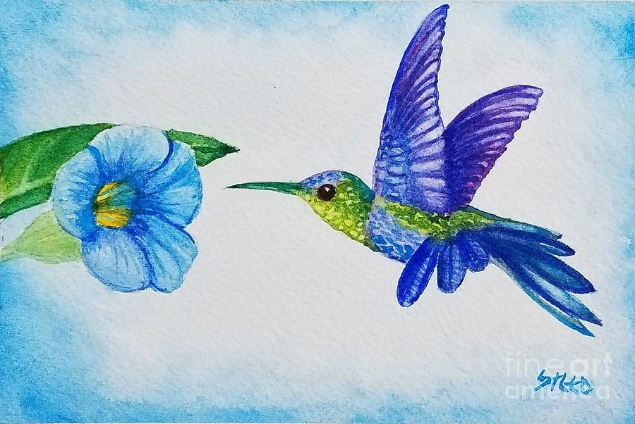 Hummingbird Painting by Steed Edwards