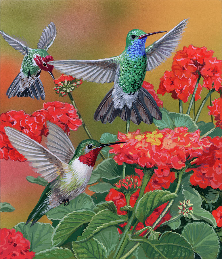 paintings of hummingbirds and flowers