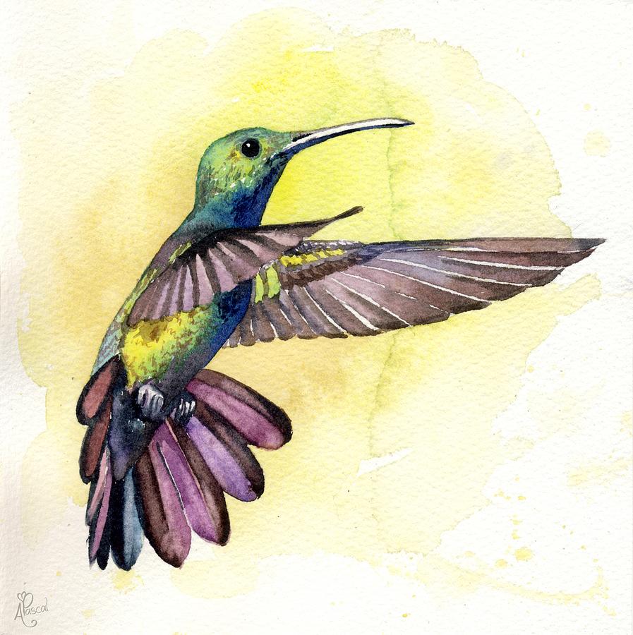 Hummingbird Watercolor Painting - Hummingbirds by Natali Fedorova