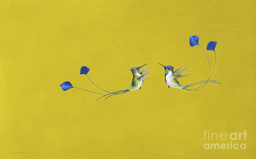 Hummingbirds Painting by Tim Hayward