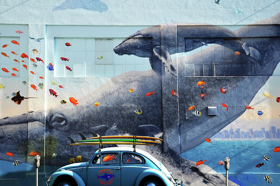 Blue Whale, Volkswagen Beetle, Surfboards, Mural, San Francisco Photograph by Larry Butterworth