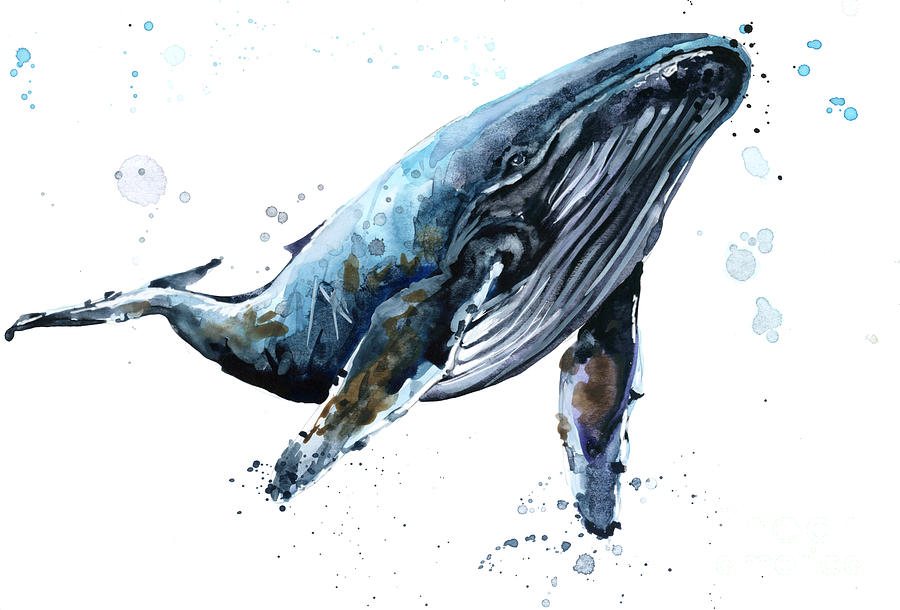 Big Digital Art - Humpback Whale Watercolor Illustration by Faenkova Elena