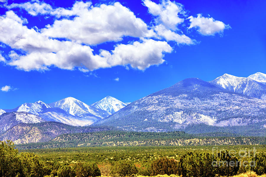 Humphreys Peak at the Coconino National Forest Photograph by John Rizzuto