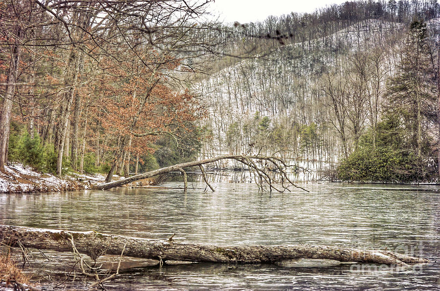 Hungry Mother State Park - Winter Landscape Photograph by Kerri Farley