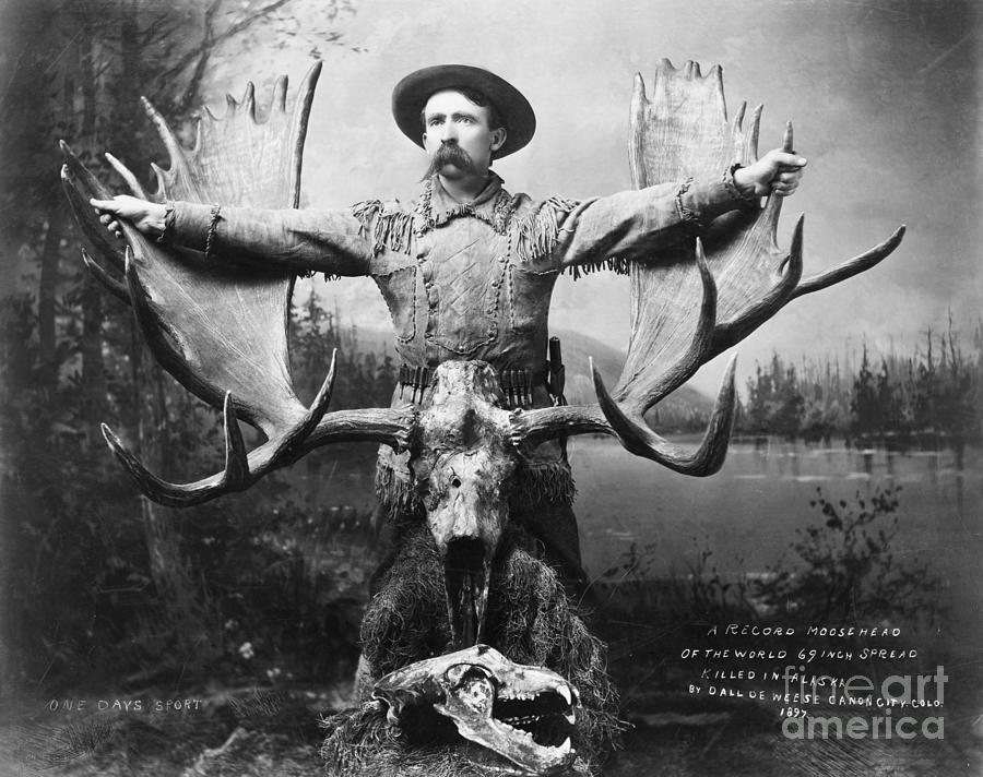Hunter With Record Moose Antlers Photograph by Bettmann