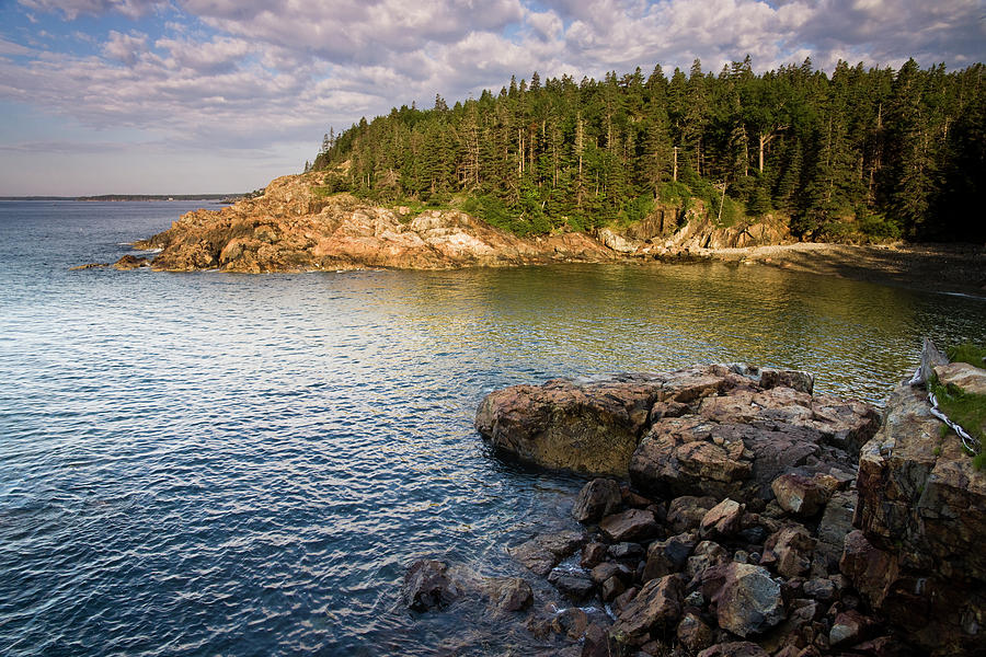 Hunters Head Early Morning 3 Acadia National Park Maine Photograph