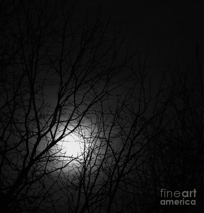 Hunters Moon Photograph by Jon Burch Photography