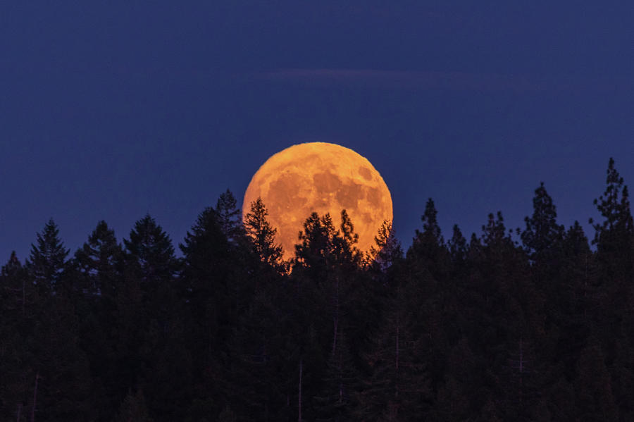 Hunters Moon Photograph by Randy Robbins