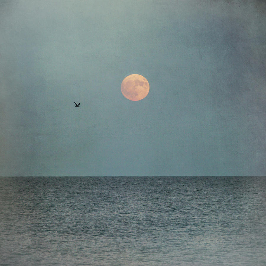 Hunters Moon Sea Square Photograph by Terry DeLuco
