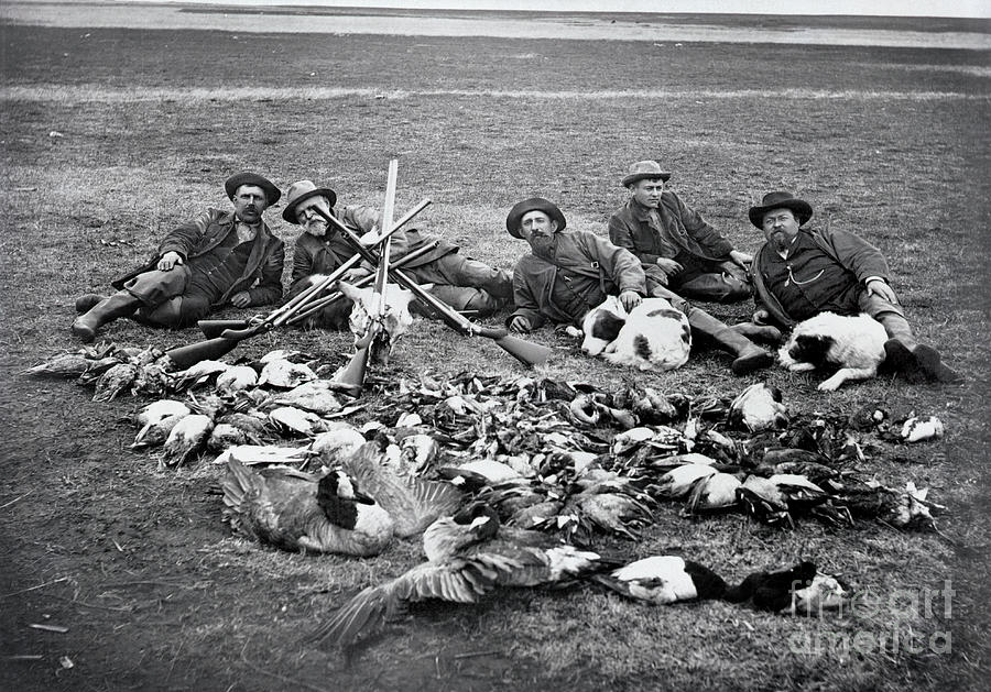 Hunters On A Prairie With Dead Birds Photograph by Bettmann
