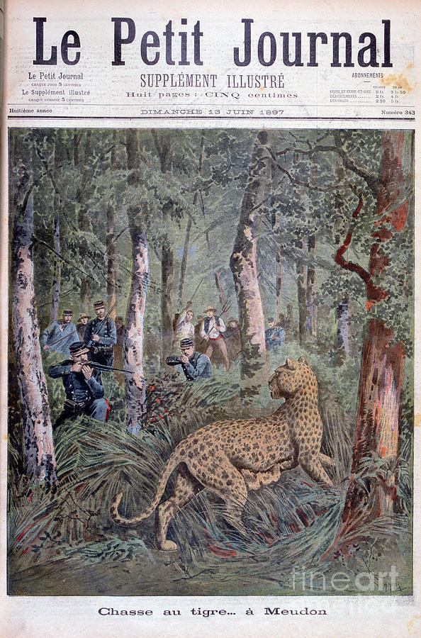 Hunting An Excaped Leopard, Meudon Drawing by Print Collector