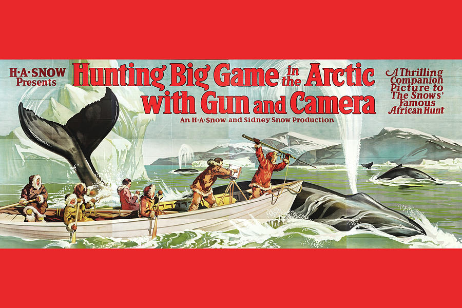 Hunting Big Game in the Arctic with Gun and Camera Painting by Unknown
