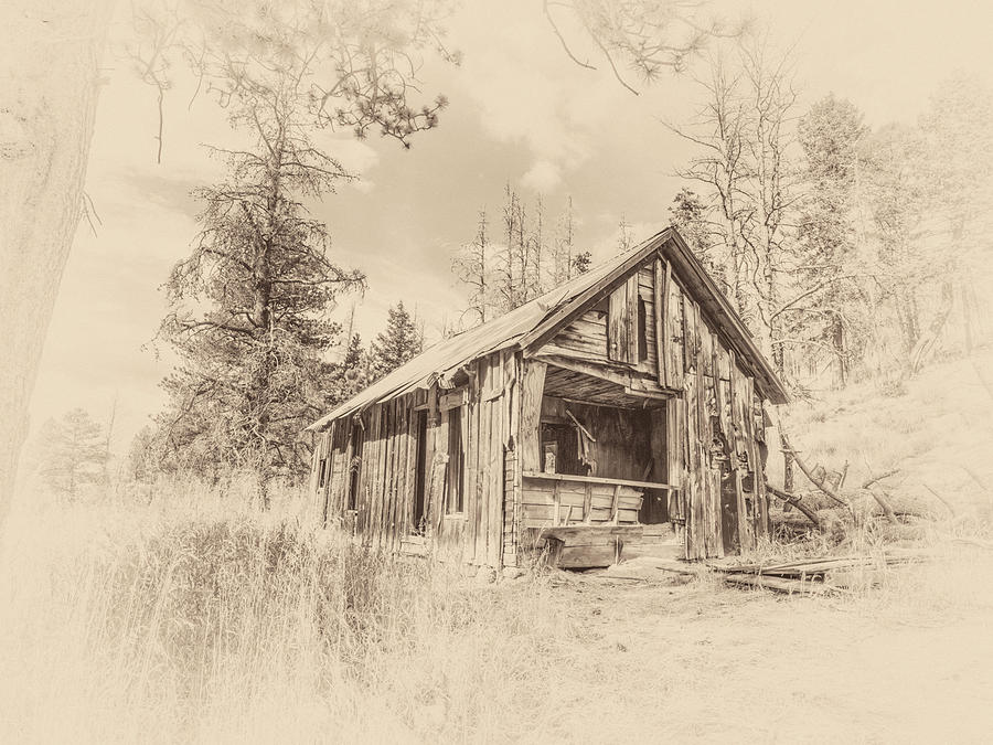 Hunting Cabin Photograph by Jennifer Grossnickle