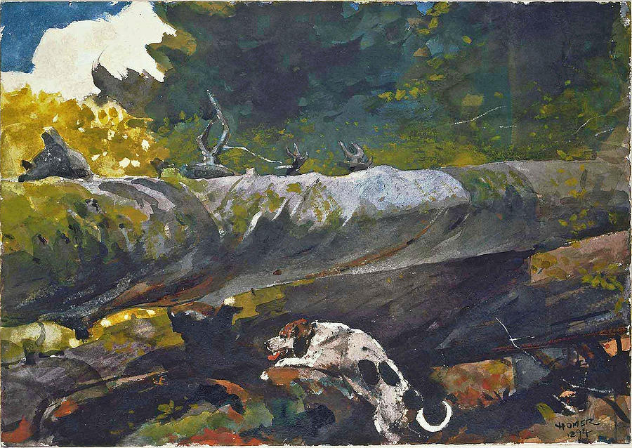 Hunting Dog among dead Trees Drawing by Winslow Homer