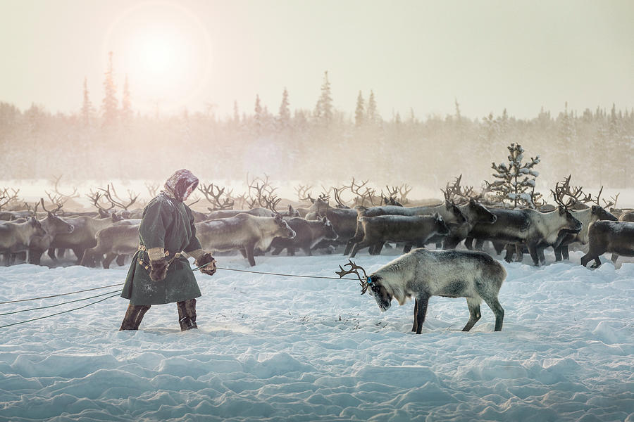 Hunting II Photograph by Patrik Minar