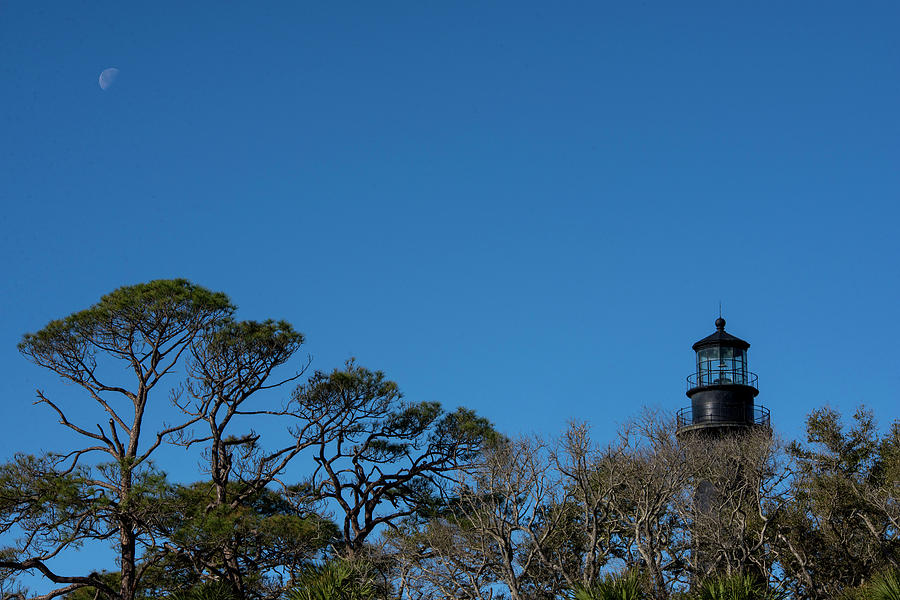Hunting Island Lighthouse Photograph by Valerie Cason