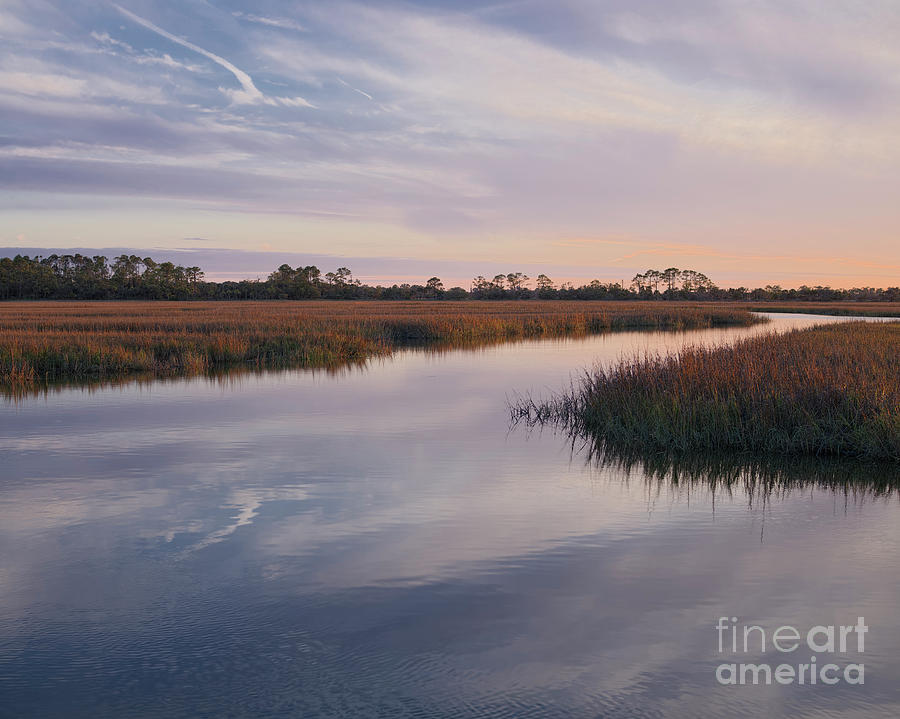 Hunting Island Salt Marsh Photograph by Patrick Lynch - Fine Art America