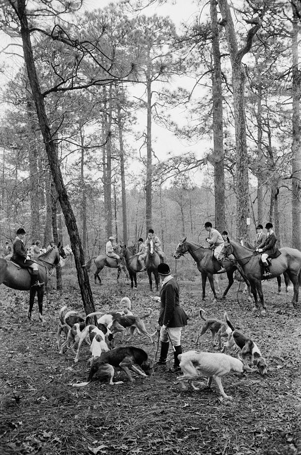 Hunting Party Photograph by Slim Aarons