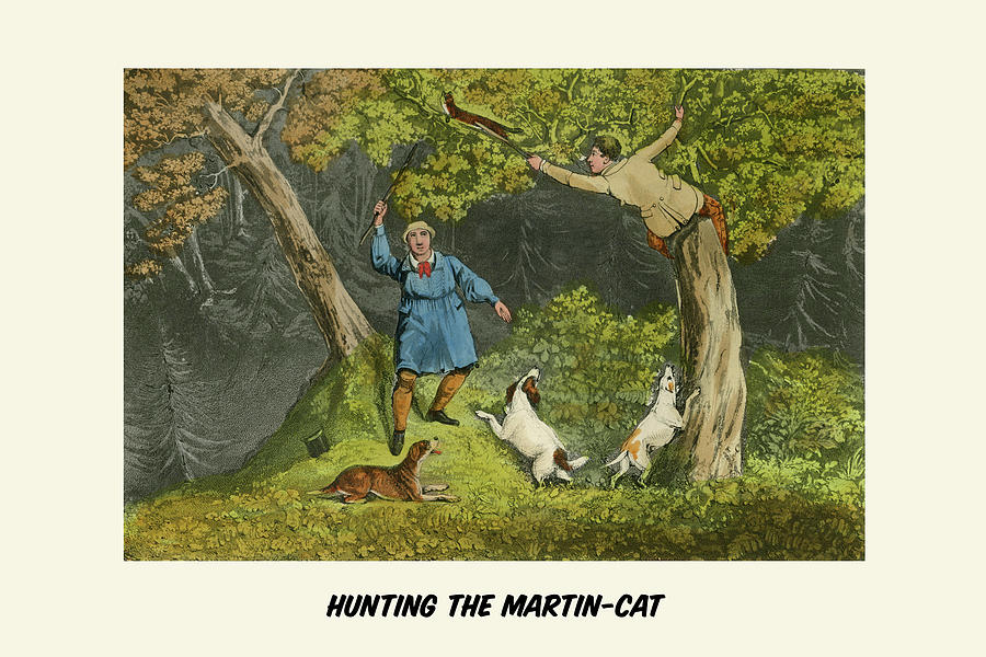Hunting the Martin Cat Painting by Henry Alken