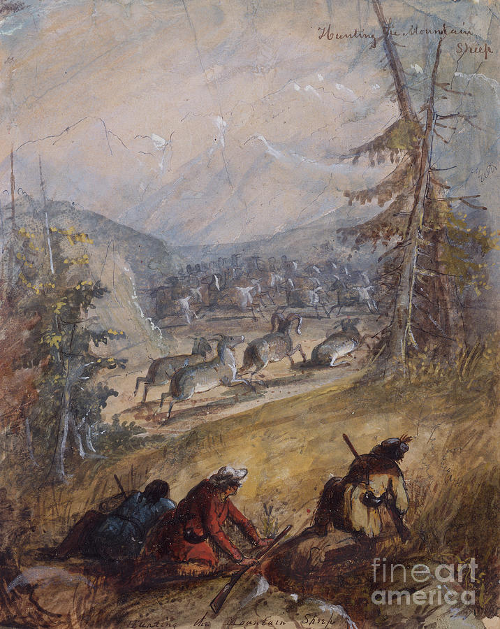 Hunting The Mountain Sheep, C.1837 Painting by Alfred Jacob Miller