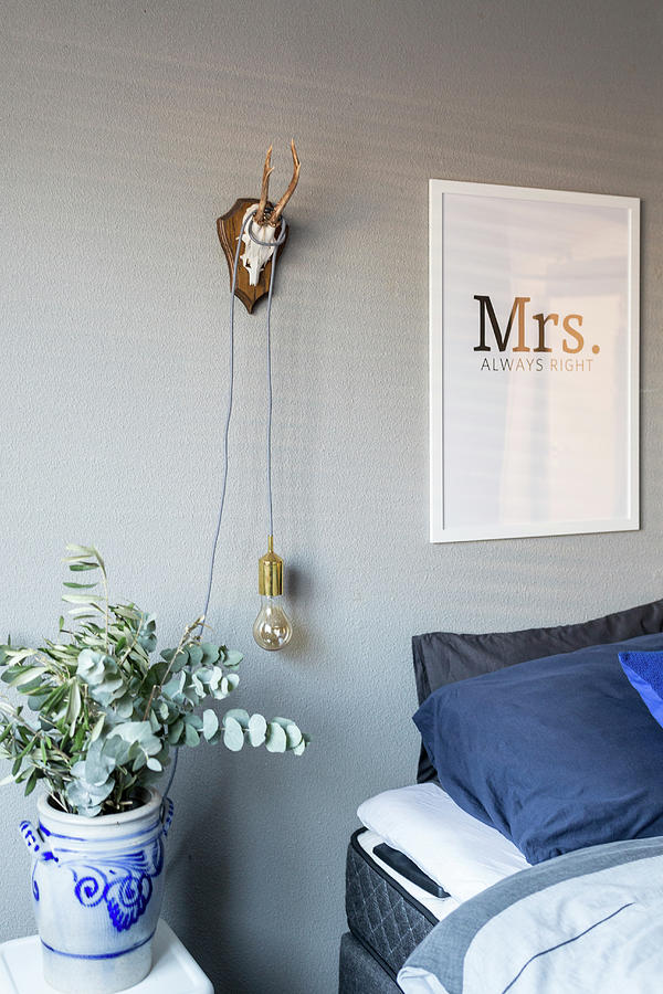 Hunting Trophy Used As Bracket For Pendant Lamp Next To Bed Photograph by Studio Lumino